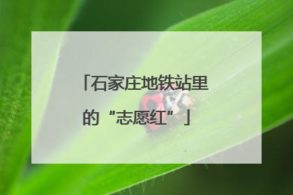 石家庄地铁站里的“志愿红”