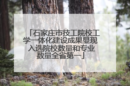 石家庄市技工院校工学一体化建设成果显现 入选院校数量和专业数量全省第一