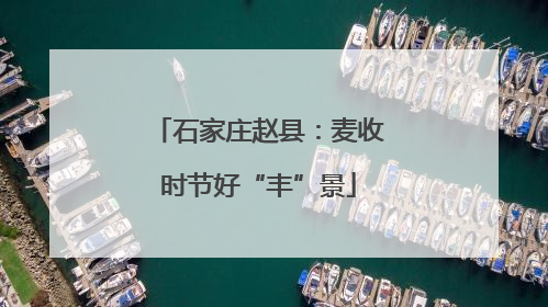 石家庄赵县：麦收时节好“丰”景
