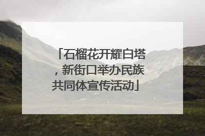 石榴花开耀白塔，新街口举办民族共同体宣传活动