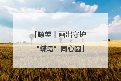 瞭望丨画出守护“蝶岛”同心圆