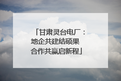 甘肃灵台电厂：地企共建结硕果 合作共赢启新程