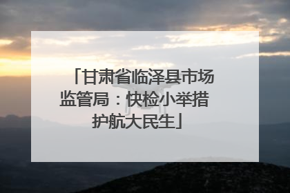 甘肃省临泽县市场监管局：快检小举措 护航大民生