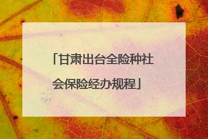 甘肃出台全险种社会保险经办规程