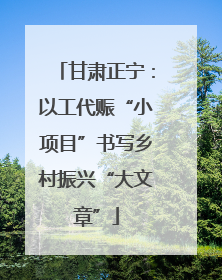 甘肃正宁：以工代赈“小项目”书写乡村振兴“大文章”