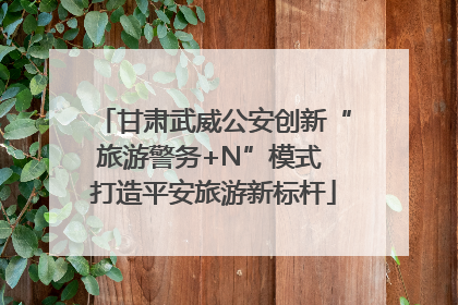 甘肃武威公安创新“旅游警务+N”模式 打造平安旅游新标杆