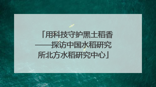 用科技守护黑土稻香——探访中国水稻研究所北方水稻研究中心