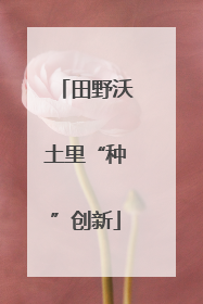 田野沃土里“种”创新