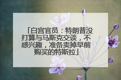 白宫官员：特朗普没打算与马斯克交谈，不感兴趣，准备卖掉早前购买的特斯拉