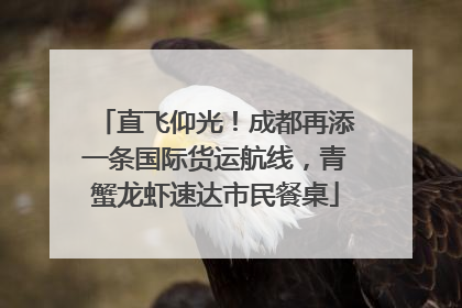 直飞仰光！成都再添一条国际货运航线，青蟹龙虾速达市民餐桌