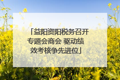 益阳资阳税务召开专题会商会 驱动绩效考核争先进位