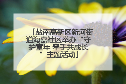 盐南高新区新河街道海嘉社区举办“守护童年 牵手共成长”主题活动