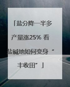 盐分降一半多 产量涨25% 看盐碱地如何变身“丰收田”