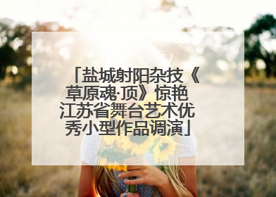 盐城射阳杂技《草原魂·顶》惊艳江苏省舞台艺术优秀小型作品调演