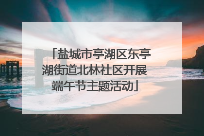 盐城市亭湖区东亭湖街道北林社区开展端午节主题活动