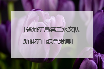 省地矿局第二水文队助推矿山绿色发展
