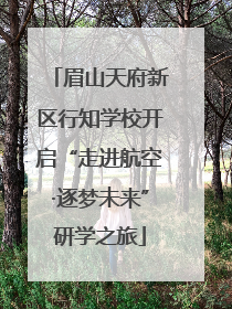 眉山天府新区行知学校开启“走进航空·逐梦未来”研学之旅