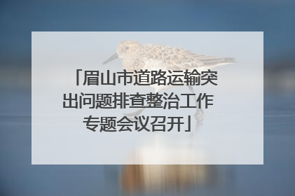 眉山市道路运输突出问题排查整治工作专题会议召开