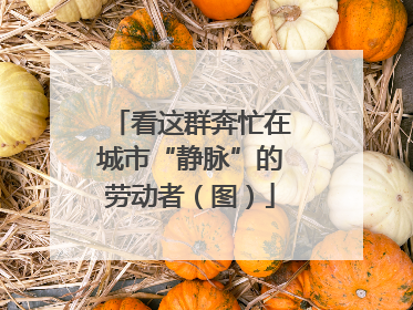 看这群奔忙在城市“静脉”的劳动者（图）