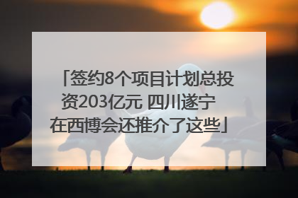 签约8个项目计划总投资203亿元 四川遂宁在西博会还推介了这些