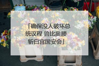 确保没人破坏总统议程 鲁比奥腰斩白宫国安会