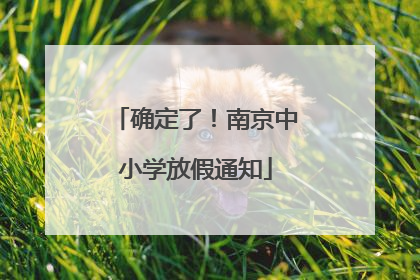 确定了！南京中小学放假通知