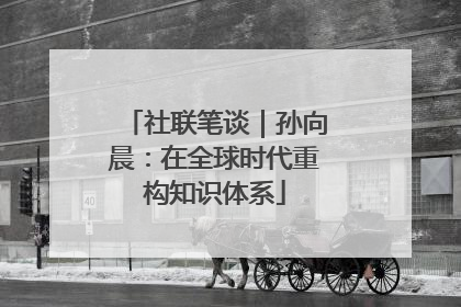 社联笔谈｜孙向晨：在全球时代重构知识体系