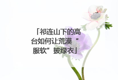 祁连山下的高台如何让荒漠“服软”披绿衣