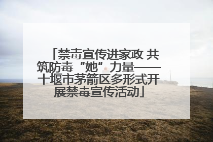 禁毒宣传进家政 共筑防毒“她”力量——十堰市茅箭区多形式开展禁毒宣传活动