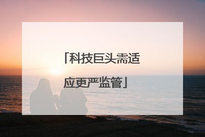 科技巨头需适应更严监管