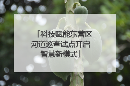 科技赋能东营区河道巡查试点开启智慧新模式