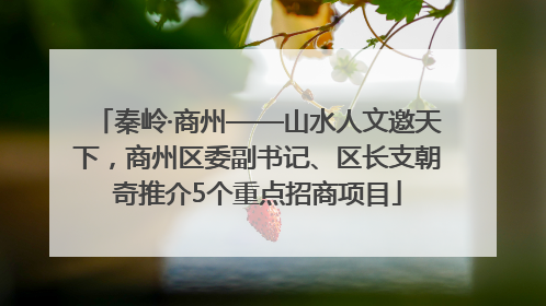秦岭·商州——山水人文邀天下，商州区委副书记、区长支朝奇推介5个重点招商项目