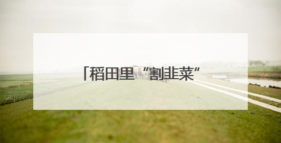 稻田里“割韭菜”？看自贡如何破译再生稻气象密码｜绿镜头·发现中国