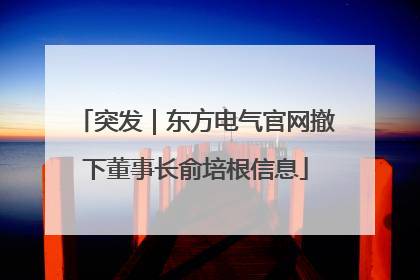 突发｜东方电气官网撤下董事长俞培根信息