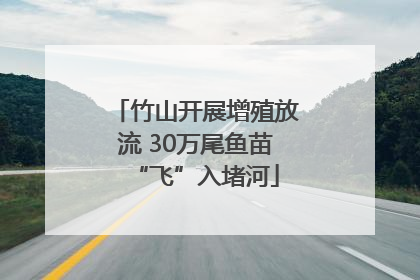 竹山开展增殖放流 30万尾鱼苗“飞”入堵河