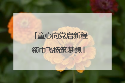 童心向党启新程 领巾飞扬筑梦想