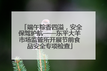 端午粽香四溢，安全保驾护航——东平大羊市场监管所开展节前食品安全专项检查