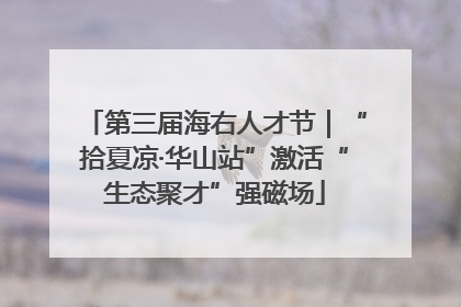 第三届海右人才节｜“拾夏凉·华山站”激活“生态聚才”强磁场