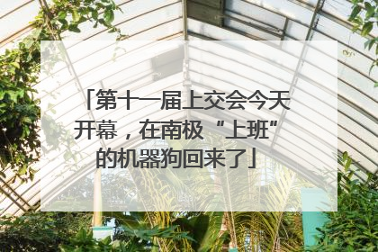第十一届上交会今天开幕，在南极“上班”的机器狗回来了