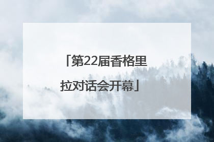 第22届香格里拉对话会开幕