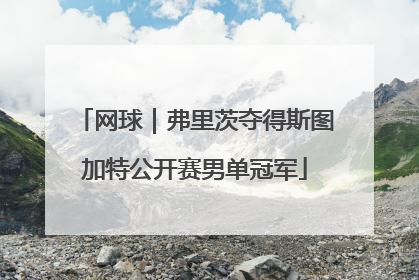 网球｜弗里茨夺得斯图加特公开赛男单冠军