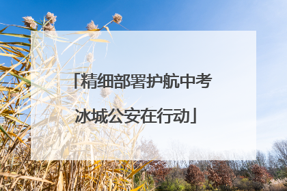 精细部署护航中考 冰城公安在行动