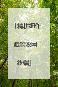 精耕细作 赋能农网终端
