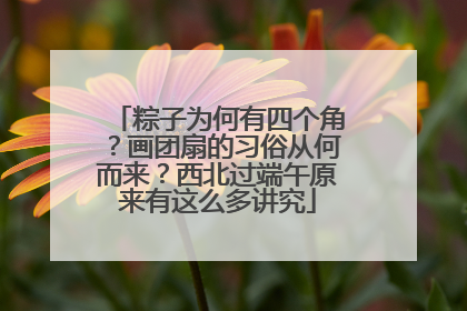 粽子为何有四个角？画团扇的习俗从何而来？西北过端午原来有这么多讲究