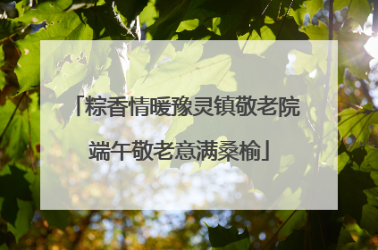 粽香情暖豫灵镇敬老院 端午敬老意满桑榆