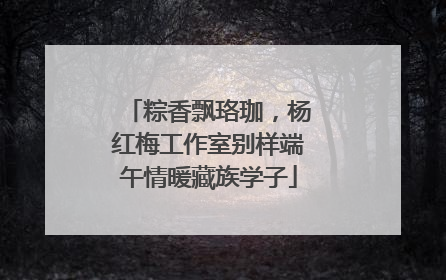粽香飘珞珈，杨红梅工作室别样端午情暖藏族学子