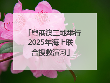 粤港澳三地举行2025年海上联合搜救演习