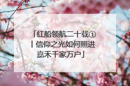 红船领航二十载①丨信仰之光如何照进嘉禾千家万户