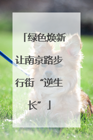 绿色焕新让南京路步行街“逆生长”