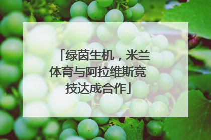 绿茵生机，米兰体育与阿拉维斯竞技达成合作